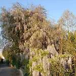 Bed & Breakfast Parco Delle Valli Sassari