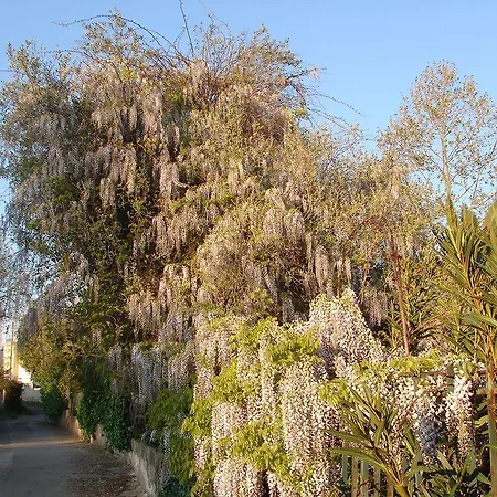 Frühstückspension Parco Delle Valli Sassari